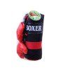 Boxerský set rukavice + pytel 6